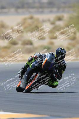 media/May-14-2023-SoCal Trackdays (Sun) [[024eb53b40]]/Turn 5 Tree of Life (1125am)/